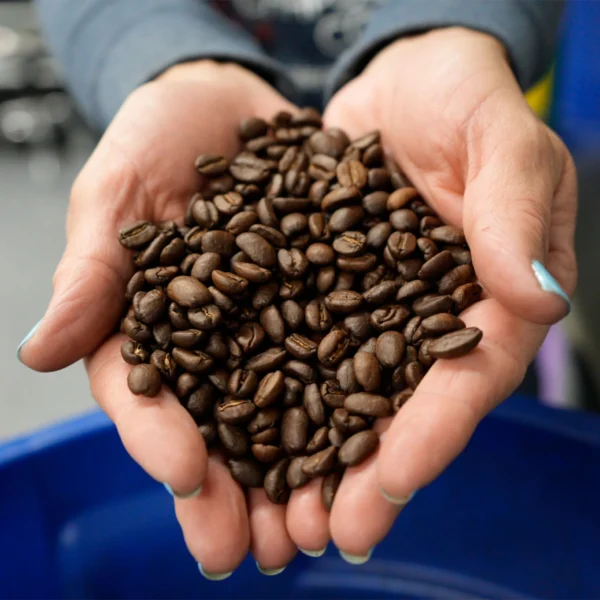 Coffee Beans Ninurta Blend Japanese Dark Roast Grind Size Option 200g