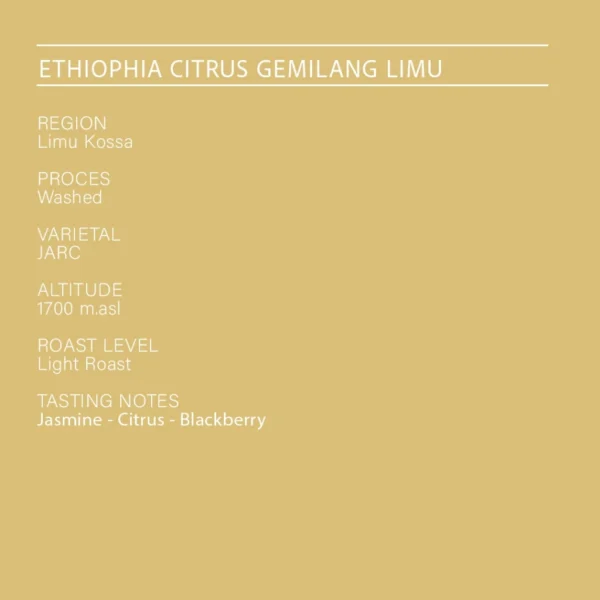 Ethiopia Single Origin Espresso Medium Roast