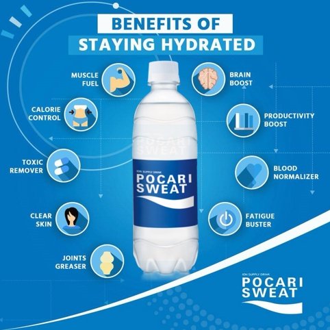 564fddb9d1db55cf6b3a7cd5a0c18981 Pocari Sweat Bottle 500ml